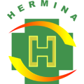 Hermina Hospitals
